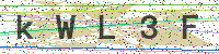 Enter Security Code