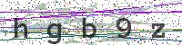 Enter Security Code