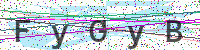Enter Security Code