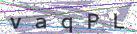 Enter Security Code