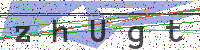 Enter Security Code