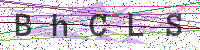 Enter Security Code