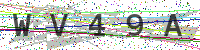 Enter Security Code