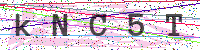 Enter Security Code