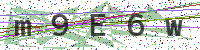 Enter Security Code