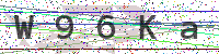 Enter Security Code