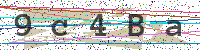 Sicherheitscode eingeben