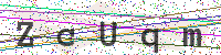 Enter Security Code