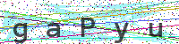 Sicherheitscode eingeben