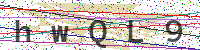 Enter Security Code