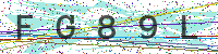 Enter Security Code