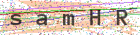 Enter Security Code