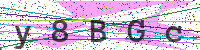 Enter Security Code