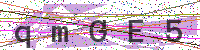 Enter Security Code