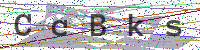 Enter Security Code