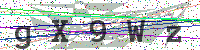 Enter Security Code