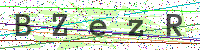 Enter Security Code