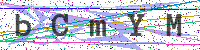 Sicherheitscode eingeben