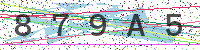 Enter Security Code
