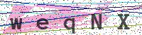 Enter Security Code