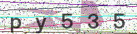 Enter Security Code