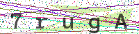 Sicherheitscode eingeben