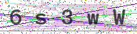 Enter Security Code