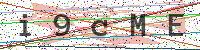 Enter Security Code