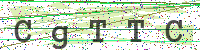 Enter Security Code
