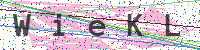 Enter Security Code