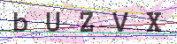 Enter Security Code