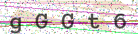 Sicherheitscode eingeben