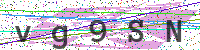 Enter Security Code