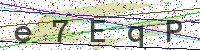 Enter Security Code