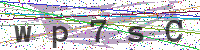 Enter Security Code