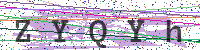 Enter Security Code