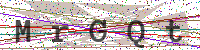 Enter Security Code