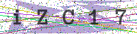 Enter Security Code