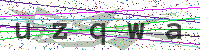 Enter Security Code