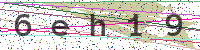 Enter Security Code