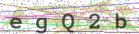 Enter Security Code