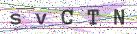 Enter Security Code