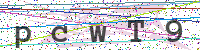 Sicherheitscode eingeben
