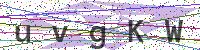 Enter Security Code
