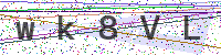 Enter Security Code