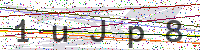 Sicherheitscode eingeben