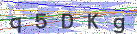 Enter Security Code