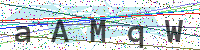 Sicherheitscode eingeben