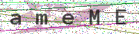 Sicherheitscode eingeben