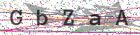 Enter Security Code